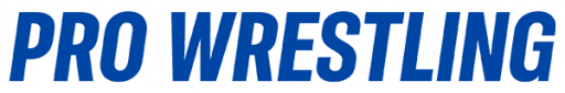 Pro Wrestling (USA) logo